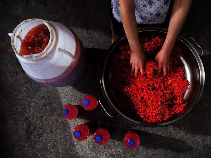 Read more about the article What Is Red Mercury Used For? Practical Applications Explained