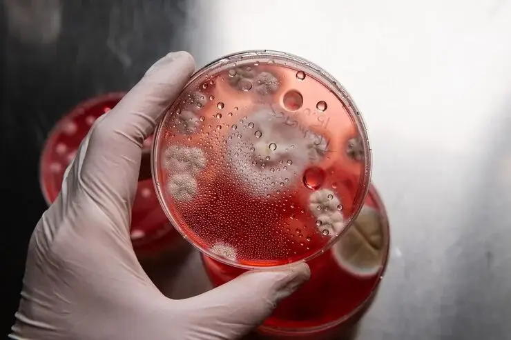 Read more about the article Why Red Mercury Is Controversial in Science and Research